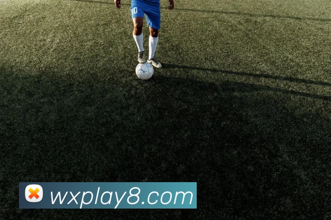 万向娱乐官网服务体系